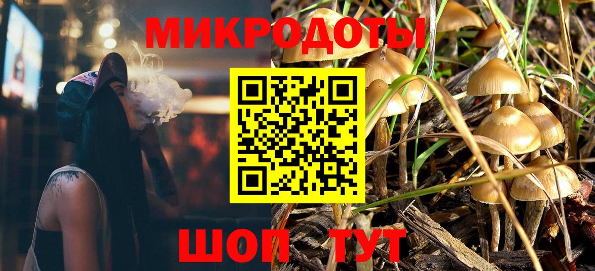 Галлюциногенные грибы Psilocybine cubensis  Вход с VPN  наркотики  Кинель 