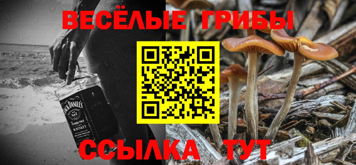 Галлюциногенные грибы ЛСД Кинель